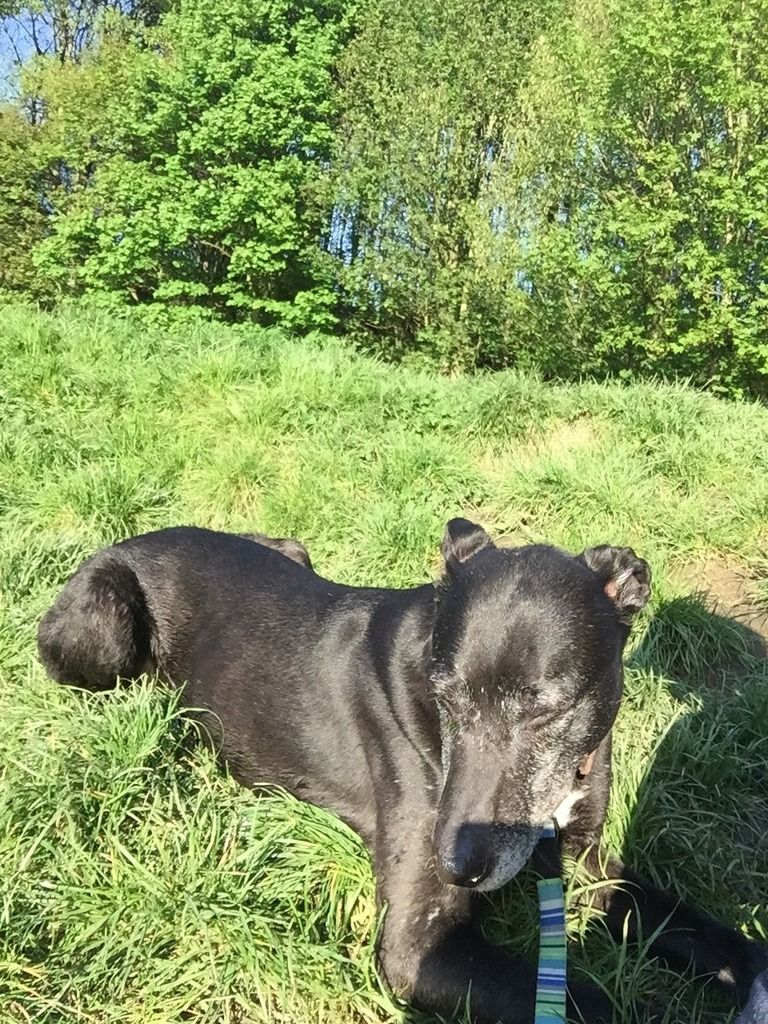 1B7DE34B-ED5E-4004-A631-453B0D191311_zps