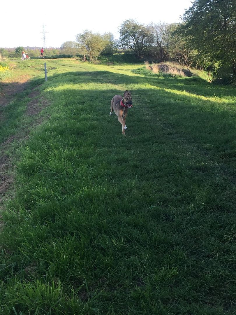 3F871200-01DE-441D-AD66-85F76B52406E_zps