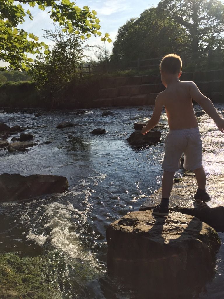 475FA2FC-5346-4A8F-AD99-77D38F55B42A_zps