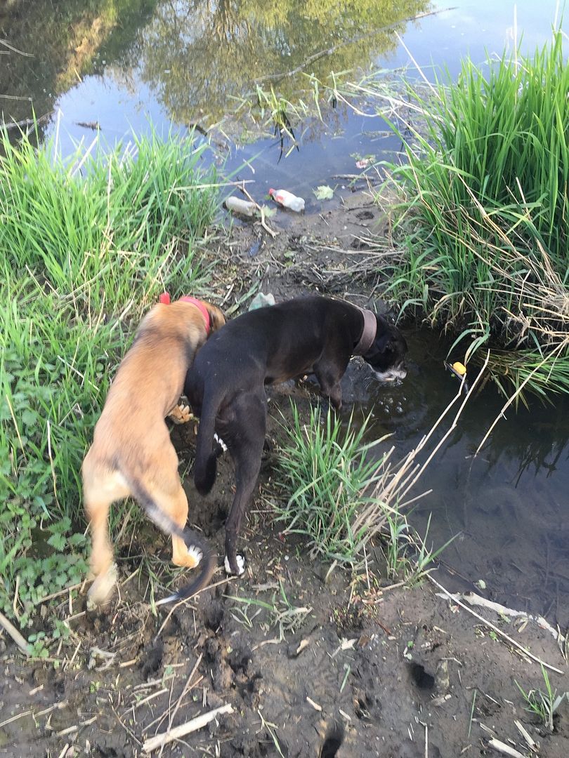 89EB84AC-B8ED-4E2A-9318-CA9BE551A05C_zps