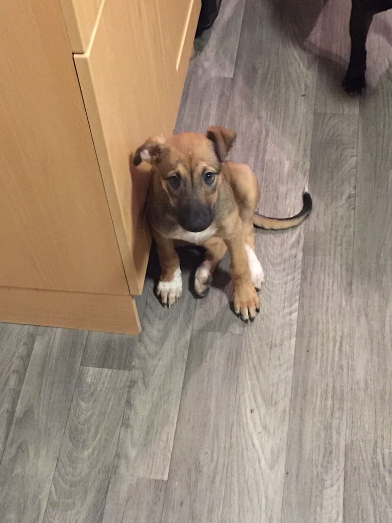 AAB73E3C-4812-4F04-9BE6-4039F8FDC683_zps