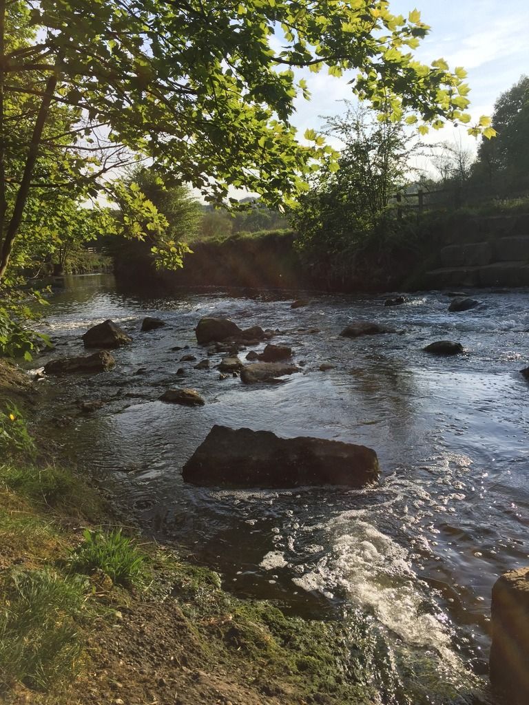 BF06B63B-8DEF-4D93-BD9F-6E274A6C4BE0_zps