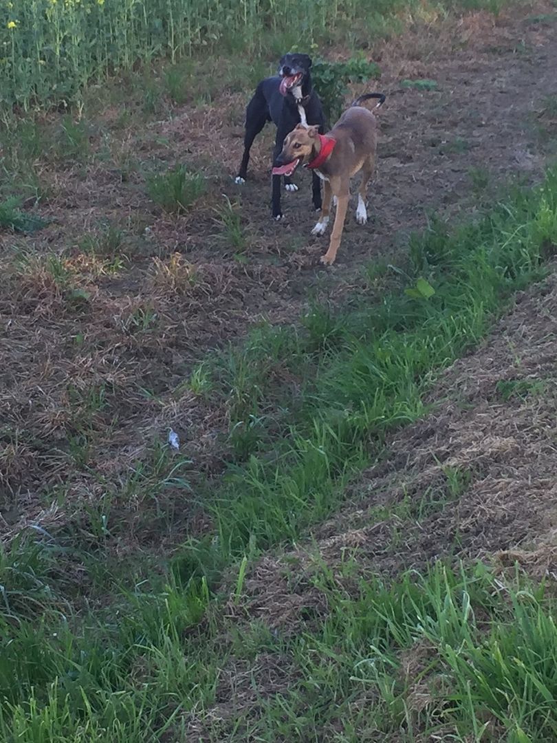 CD613706-9832-42A5-A4FD-EC36A92690F6_zps