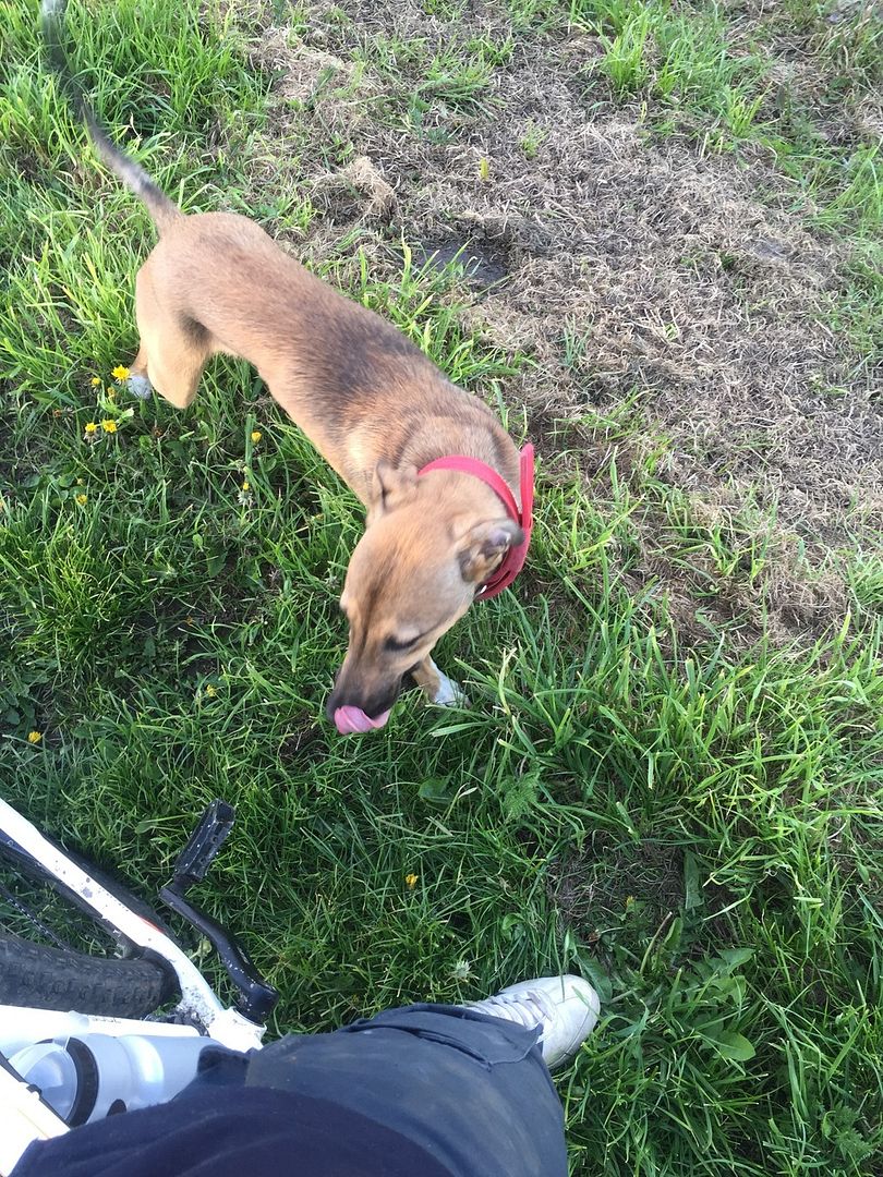 E155F453-BC2D-4E82-8902-1BE39FDDA7E9_zps