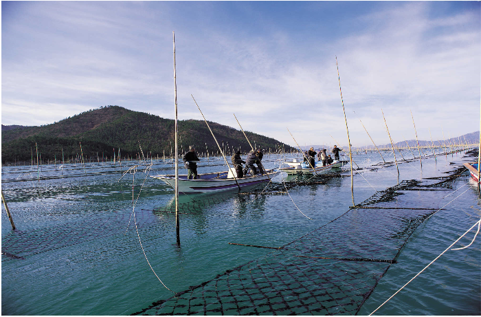  photo laver6_zps4c8a51b6.png