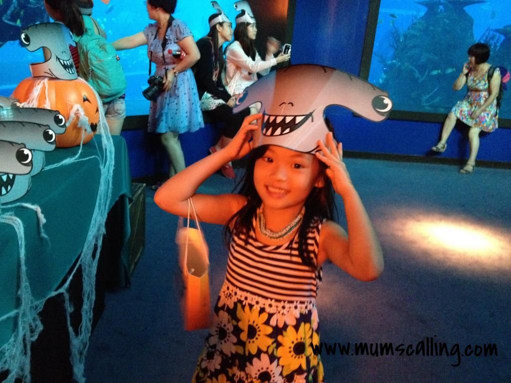 photo 6d518be9-1342-44fc-8263-19a6a4dde9c5_zps41980214.jpg
