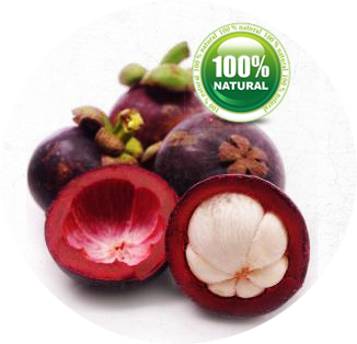 pure garcinia cambogia