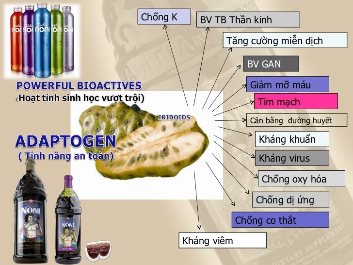 Nước uống sinh học Noni:hỗ trợ điều trị hiệu quả bệnh tim mạch, huyết áp, tiểu đường, ung thư..v..v.