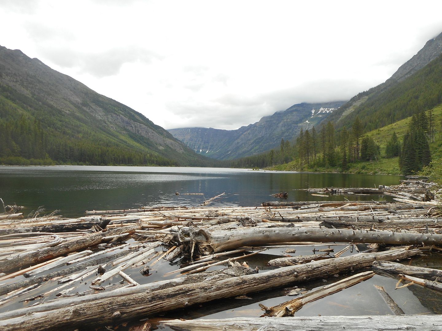 Trout lake Glacier National Park Bushcraft USA Forums