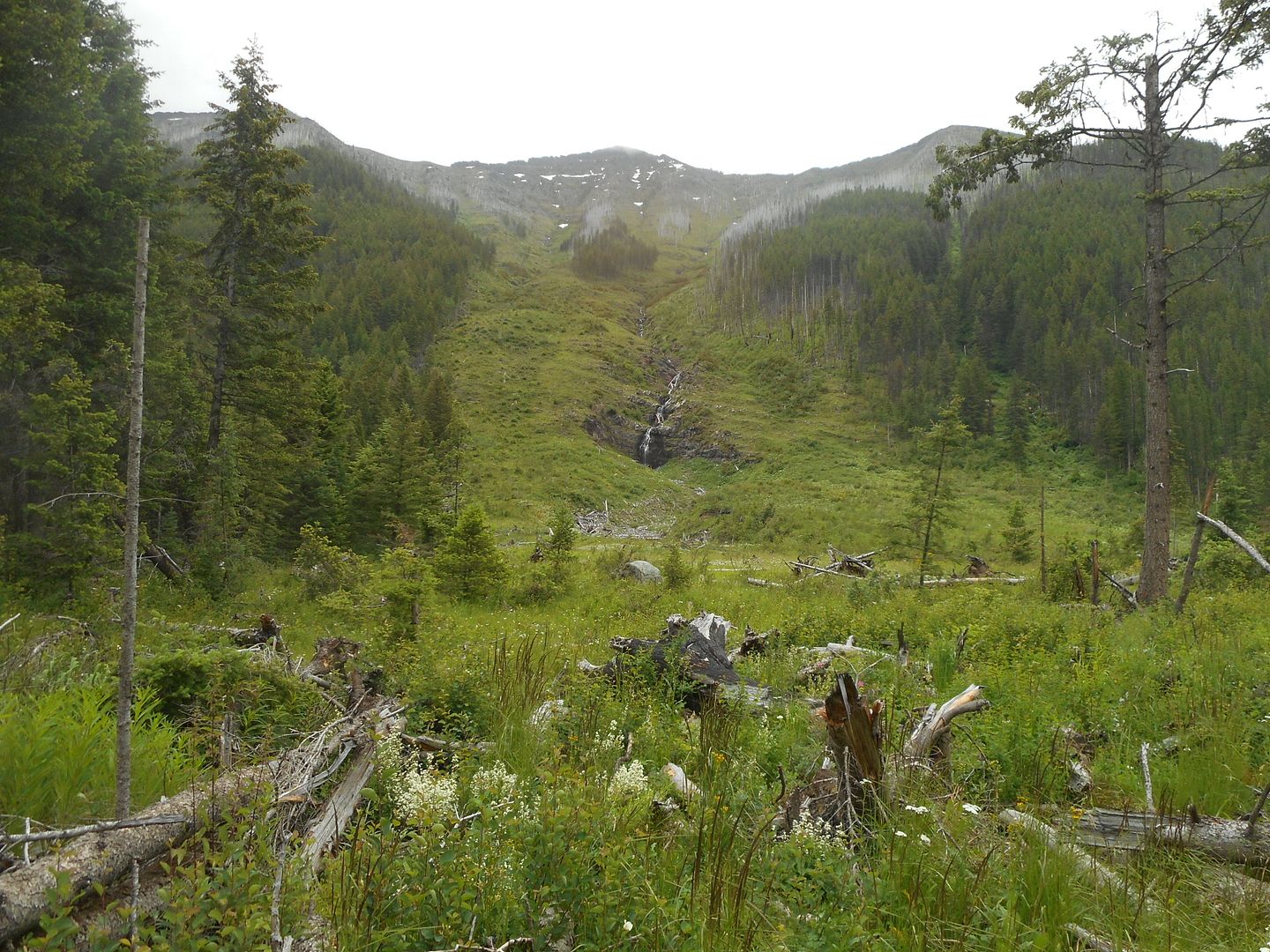 Trout lake Glacier National Park Bushcraft USA Forums