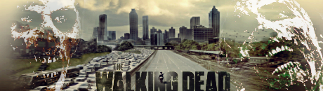WALKINGDEAD_zpsff2acfea.png